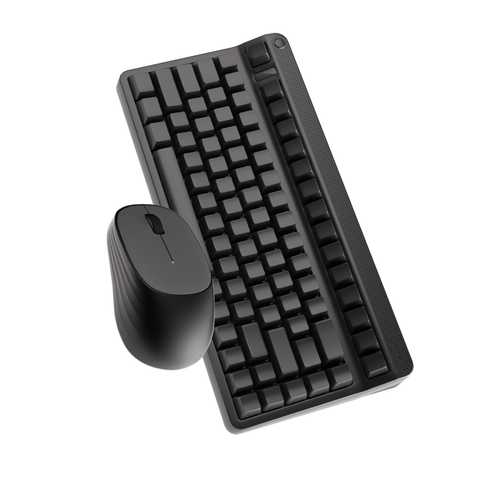 Computer Accessories & Peripherals