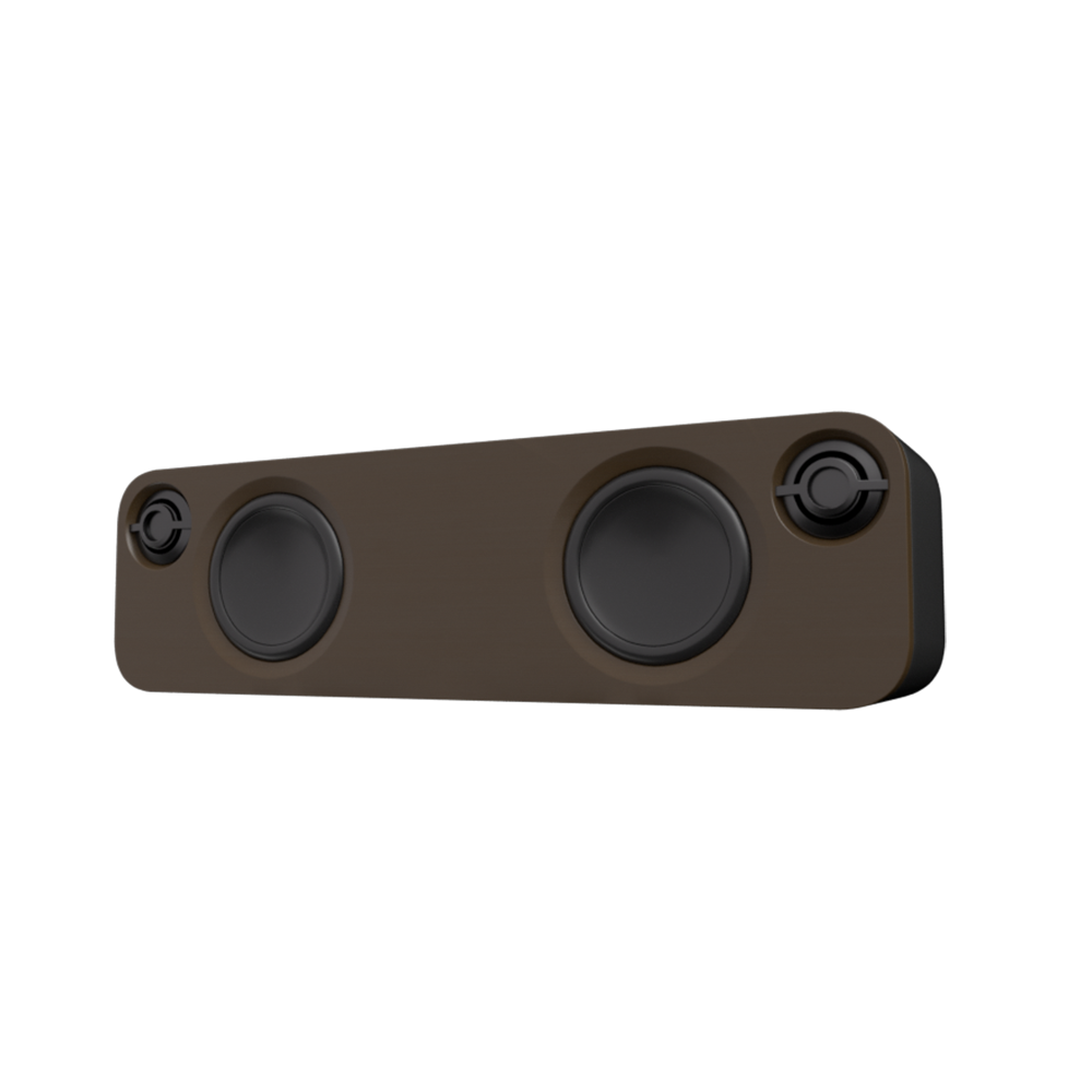 Portable Audio & Video